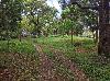Commercial Lot for Lease in  General Trias, Cavite
